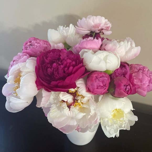 Meet your Posher, VO - Picture 1 of 1